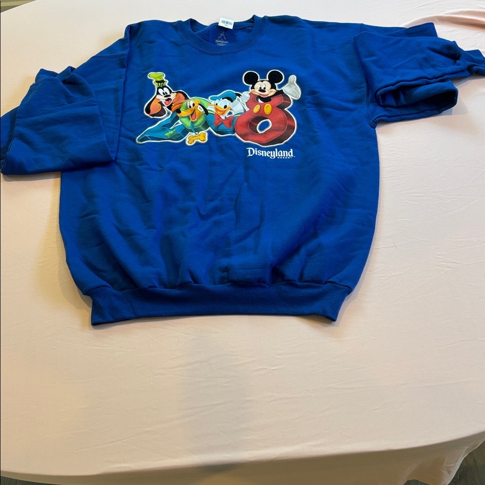 DISNEY RESORT SWEATSHIRT
